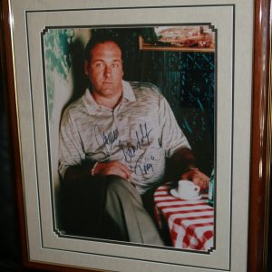5 TIME GOLDEN GLOBE WINNER "TONY SOPRANO" CEDARWOOD FRAMED Autog