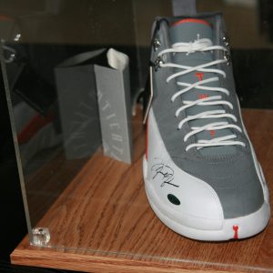 MICHAEL JORDAN AUTOGRAPHED SHOE MINT CONDITION