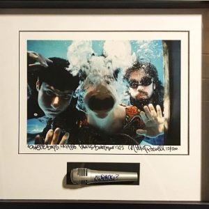Beastie Boys "Ricky Powell" AdRock signed microphone