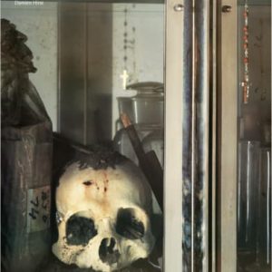 Damien Hirst signed "Romance in the Age of Uncertainty"