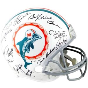 NFL Helmet Gallery